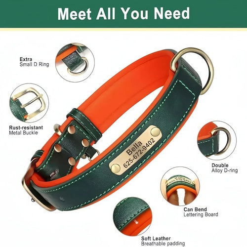 Collier cuir personnalisé pour chien
