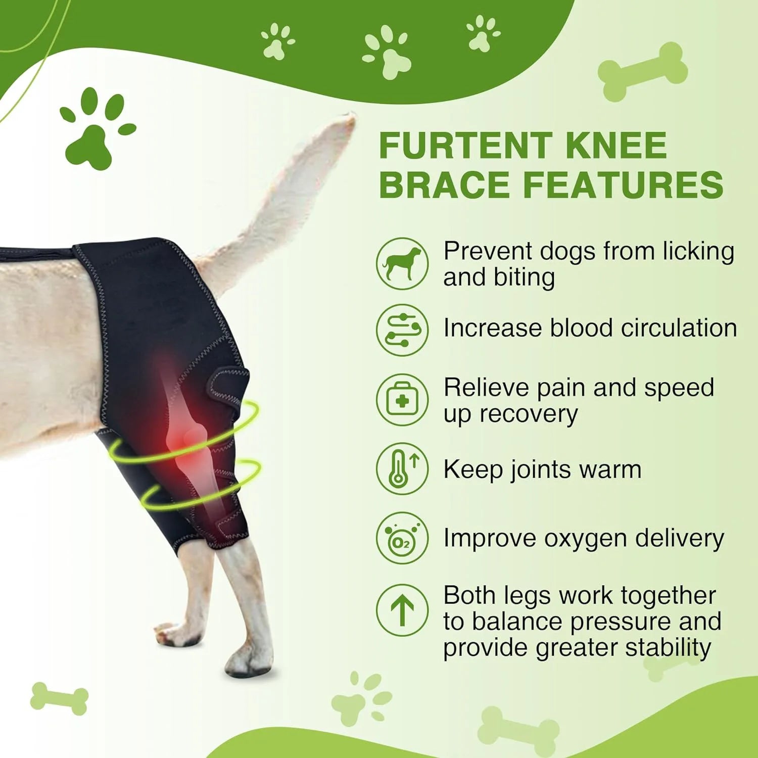 Genouière Orthopédique pour Chien – Soutien Articulaire Patte Arrière + Laisse 150 cm