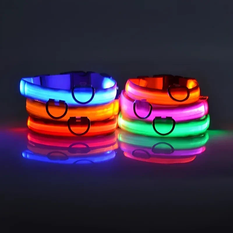 Collier LED Lumineux pour Chien – Sécurité Nocturne, Nylon, 5 Tailles