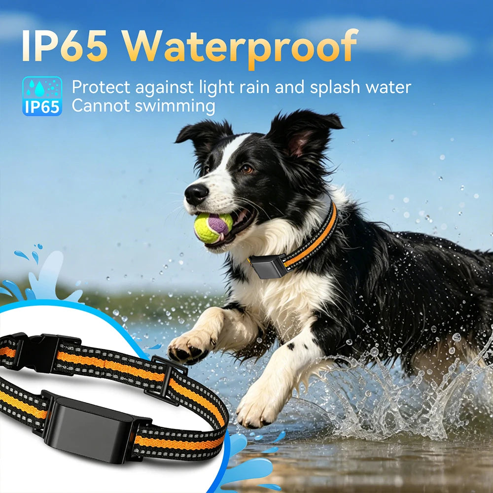 Collier GPS Étanche IP67 Sans Abonnement