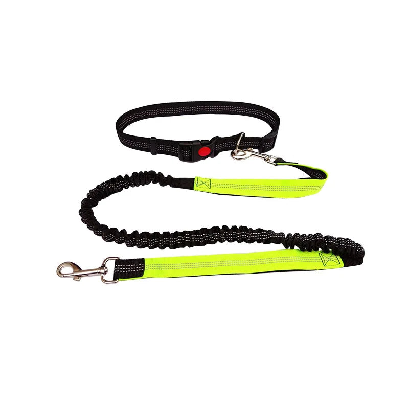 Laisse Mains Libres pour Chien – Ceinture de Taille Réglable, Course & Jogging