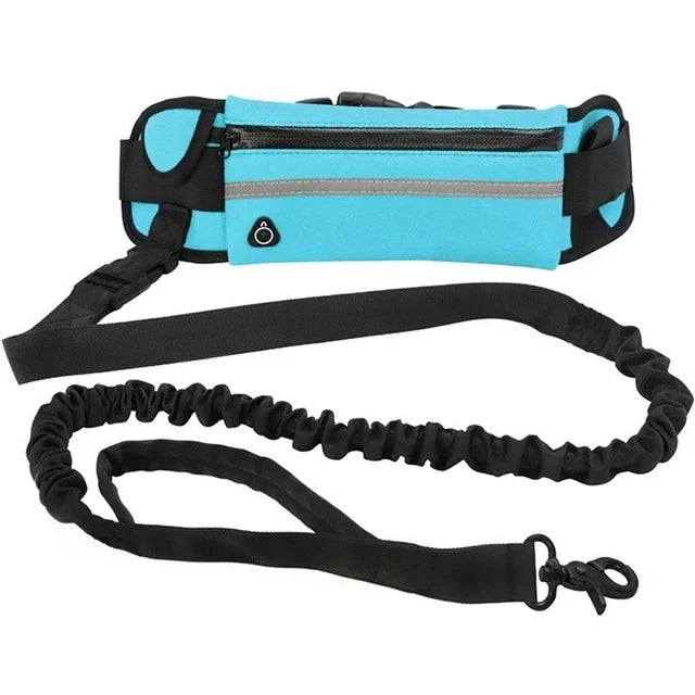 Laisse Mains Libres pour Chien – Ceinture Élastique Réfléchissante, Nylon