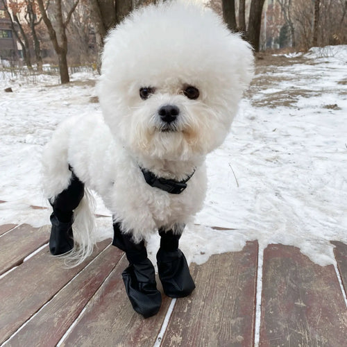 Bottes antidérapantes pour chien, protège-pattes