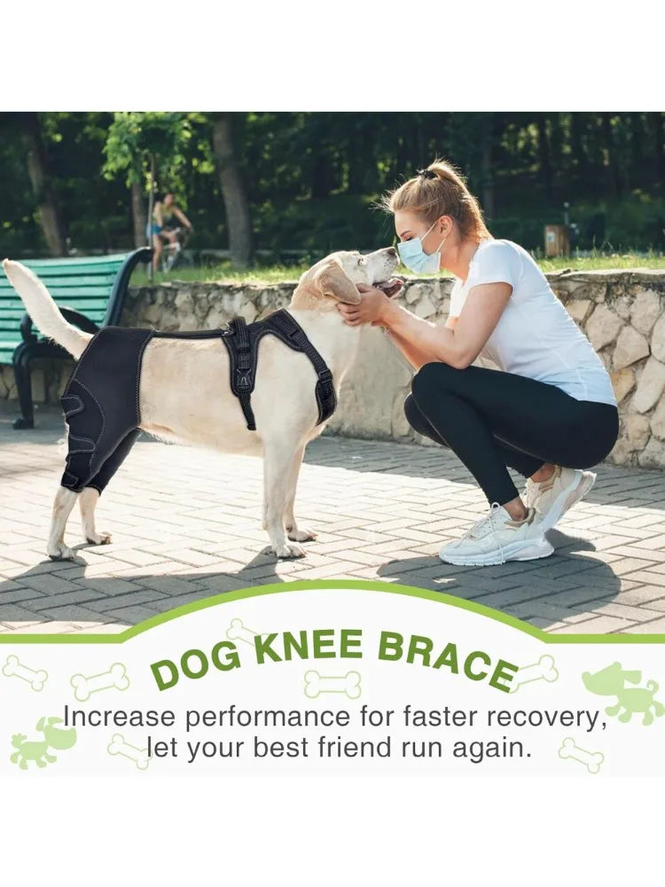 Genouière Orthopédique pour Chien – Soutien Articulaire Patte Arrière + Laisse 150 cm