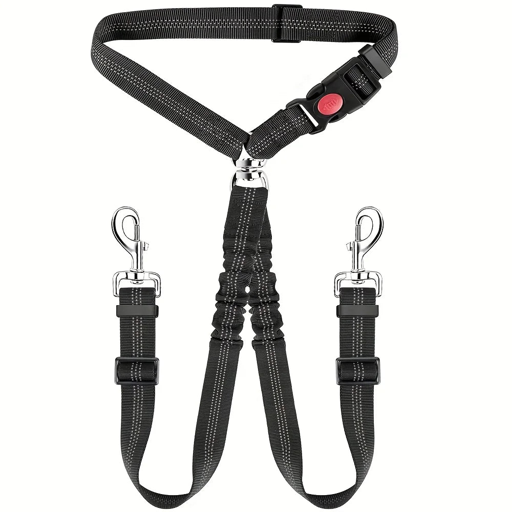 Ceinture de sécurité pour chien – Laisse 2-en-1 avec amortisseur