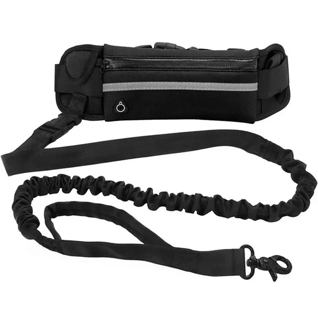 Laisse Mains Libres pour Chien – Ceinture Élastique Réfléchissante, Nylon