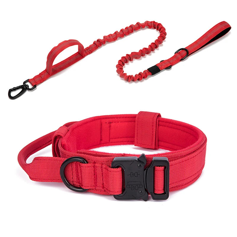 Ensemble Laisse & Collier Tactique pour Chien – Nylon Réfléchissant