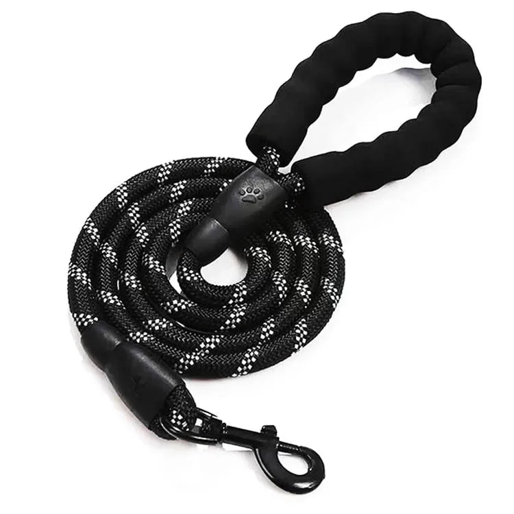 Laisse Réfléchissante pour Chien – Nylon Séparable, Toutes Tailles