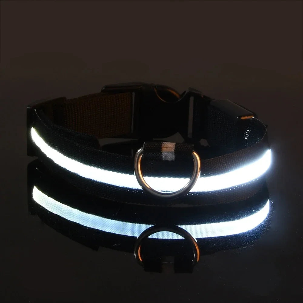 Collier LED Lumineux pour Chien – Sécurité Nocturne, Nylon, 5 Tailles