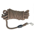 Laisse Longue pour Chien – Nylon Tressé Absorbant les Chocs, 5m / 10m / 15m