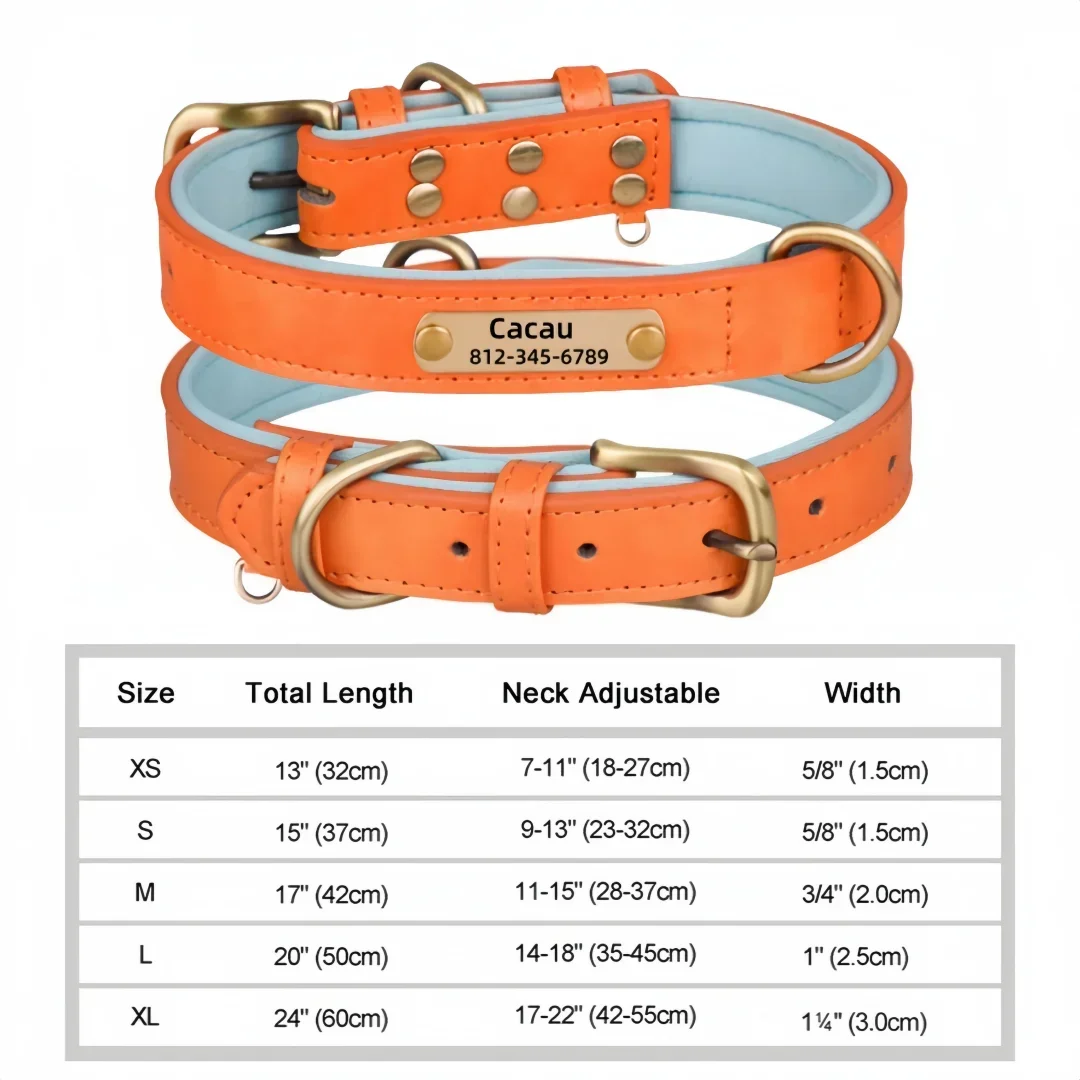 Collier cuir PU personnalisé pour chien