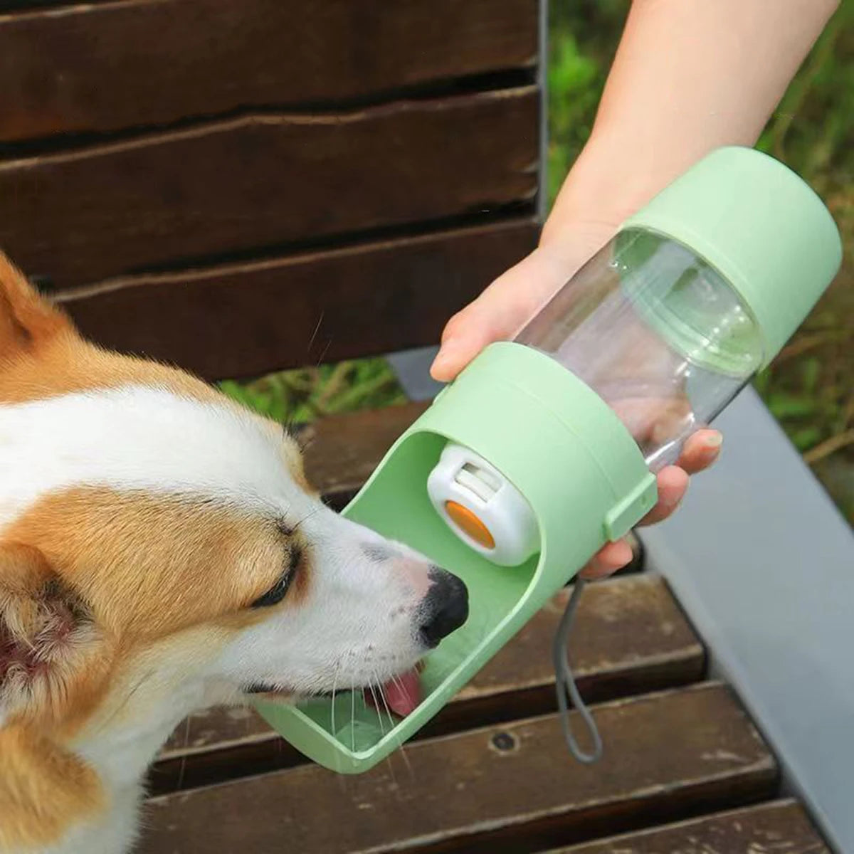 Bouteille d'Eau Portable Chien 2-en-1 – Eau 500ml & Nourriture | Randonnée & Voyage