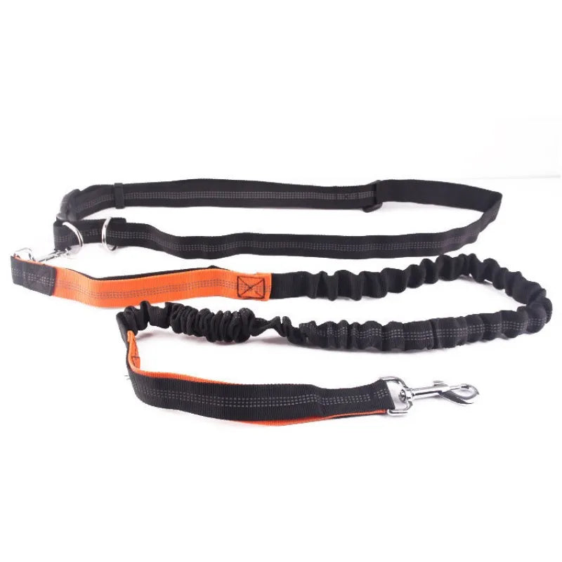 Laisse Mains Libres pour Chien – Ceinture de Taille Réglable, Course & Jogging
