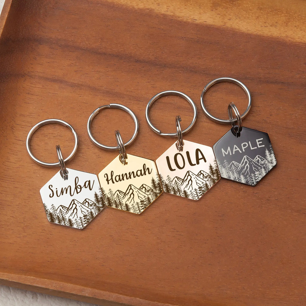 Médaille ID hexagonale personnalisée pour chien