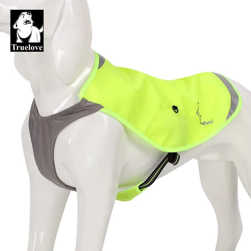 Veste d'été impérméable pour chien Truelove – Réfléchissante & Respirante