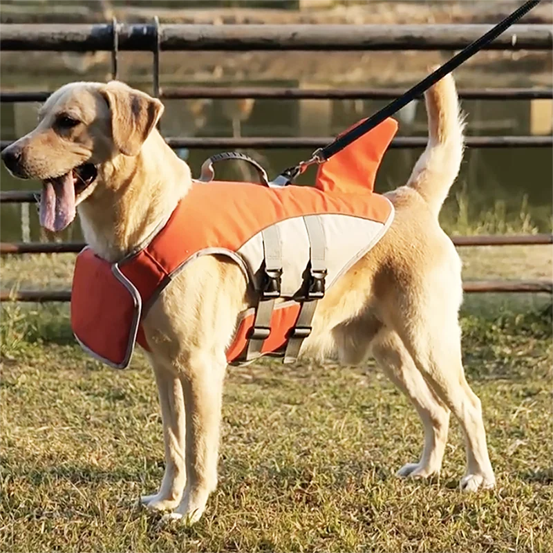 Gilet de Sauvetage Chien Aileron de Requin – Piscine, Plage & Kayak | S à XL