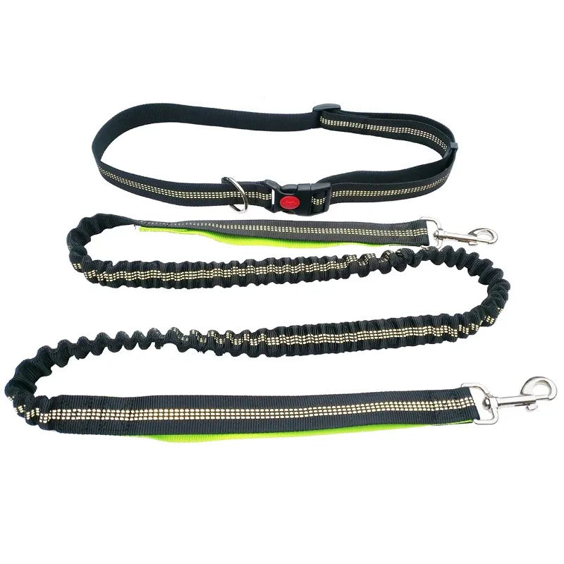 Laisse Mains Libres pour Chien – Ceinture de Taille Réglable, Course & Jogging