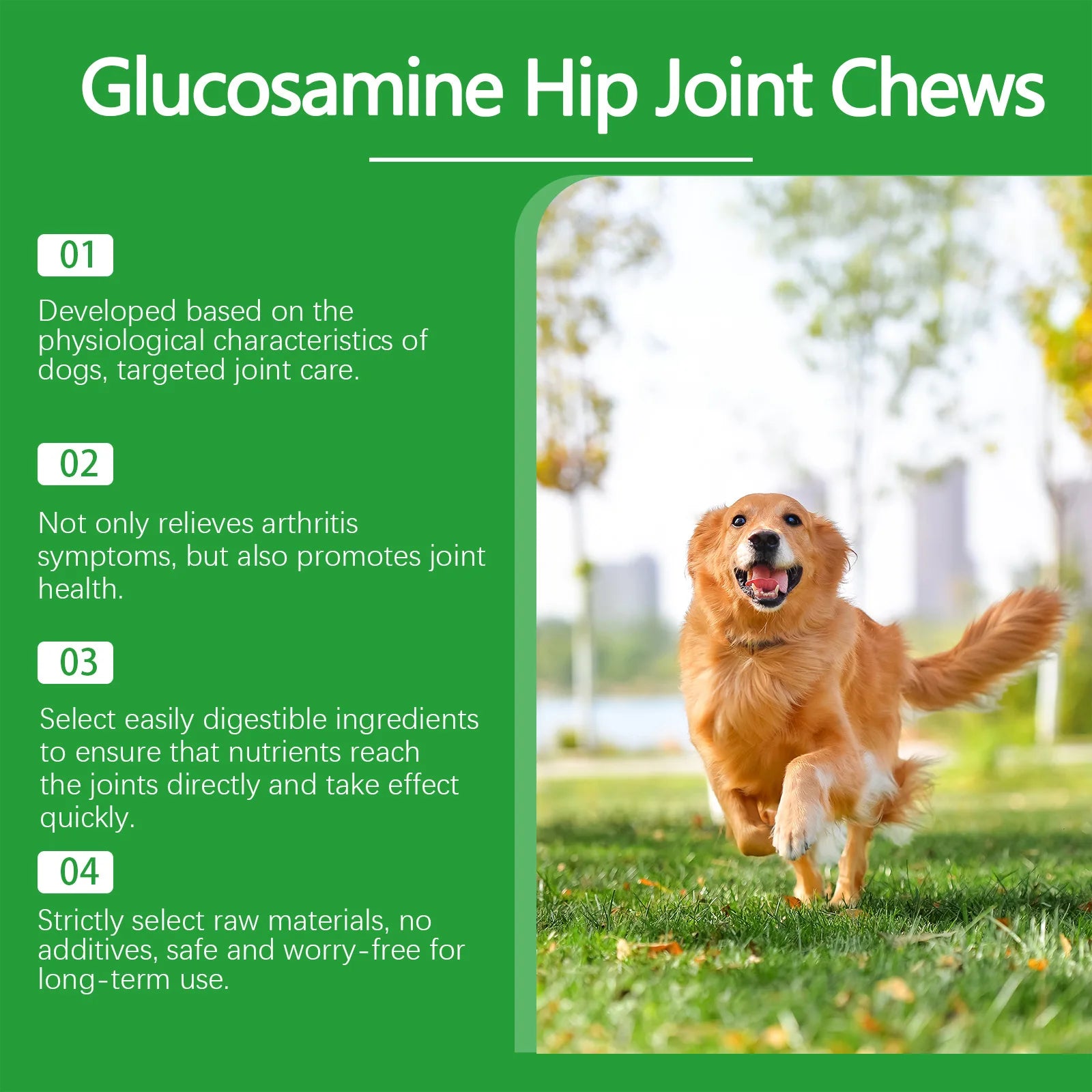 Comprimés Articulaires pour Chien – Mobilité, Flexibilité & Vitalité