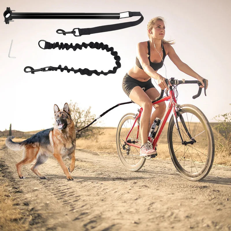 Laisse vélo pour chien