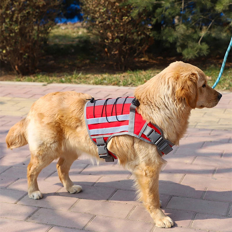 Sac à Dos pour Chien – Grande Capacité, Coupe-Vent, Toutes Races