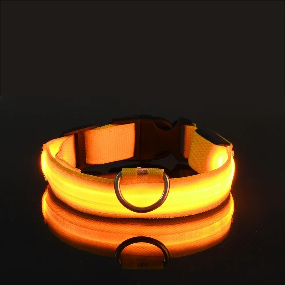 Collier LED Lumineux pour Chien – Sécurité Nocturne, Nylon, 5 Tailles