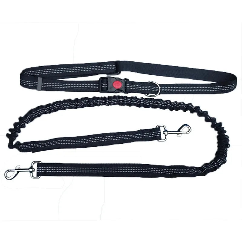 Laisse Mains Libres pour Chien – Ceinture de Taille Réglable, Course & Jogging