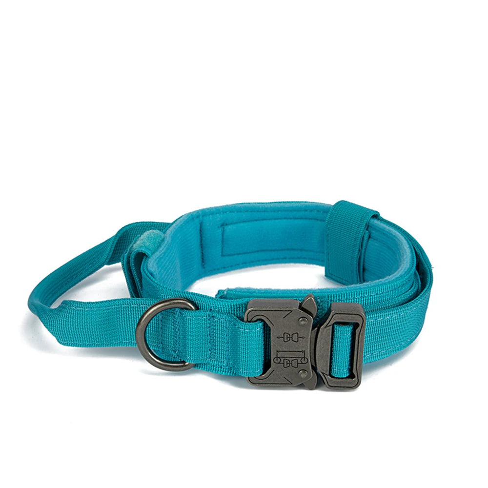 Ensemble Laisse & Collier Tactique pour Chien – Nylon Réfléchissant