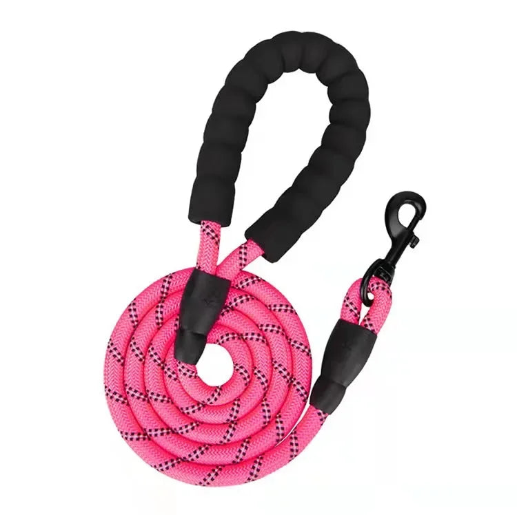 Laisse Réfléchissante pour Chien – Nylon Séparable, Toutes Tailles