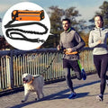 Laisse Mains Libres pour Chien – Ceinture Élastique Réfléchissante, Nylon
