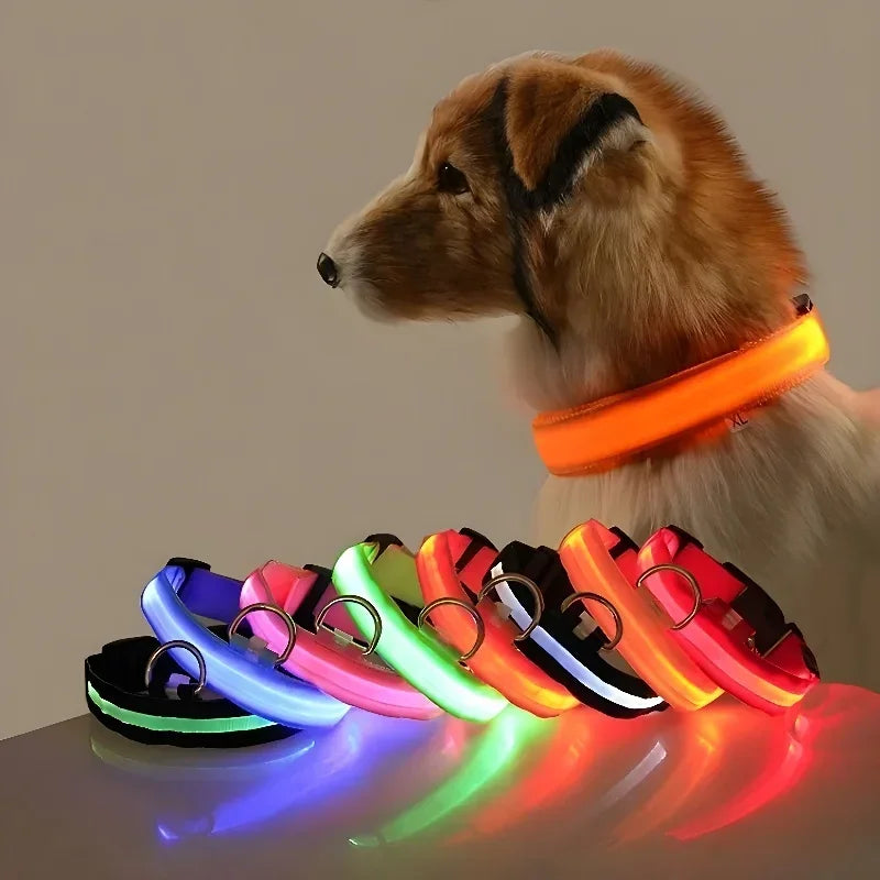 Collier LED Lumineux pour Chien – Sécurité Nocturne, Nylon, 5 Tailles