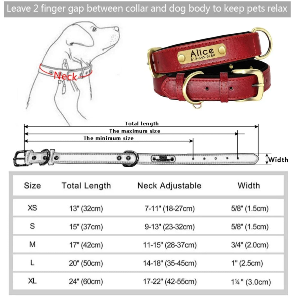 Collier cuir PU personnalisé pour chien