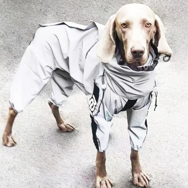 Combinaison Imperméable Réfléchissante pour Chien – Protection Solaire, M à 5XL