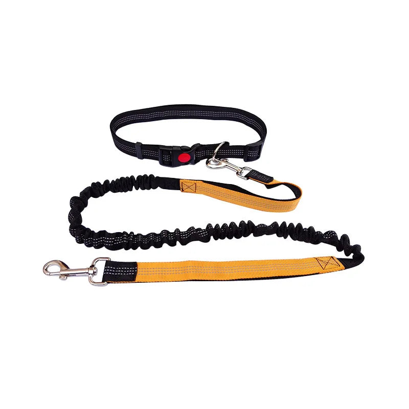Laisse Mains Libres pour Chien – Ceinture de Taille Réglable, Course & Jogging