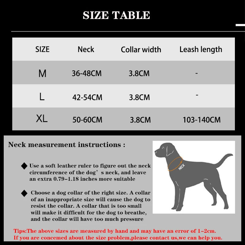 Ensemble Laisse & Collier Tactique pour Chien – Nylon Réfléchissant