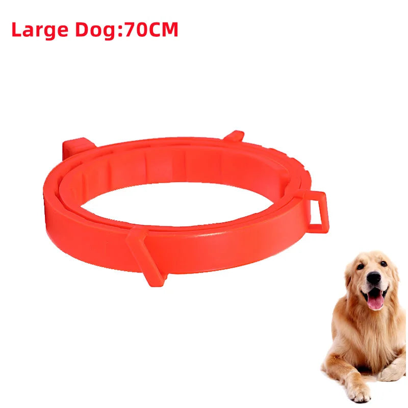 Collier Anti-Puces & Tiques Chien et Chat – Protection Naturelle 8 Mois, Citronnelle