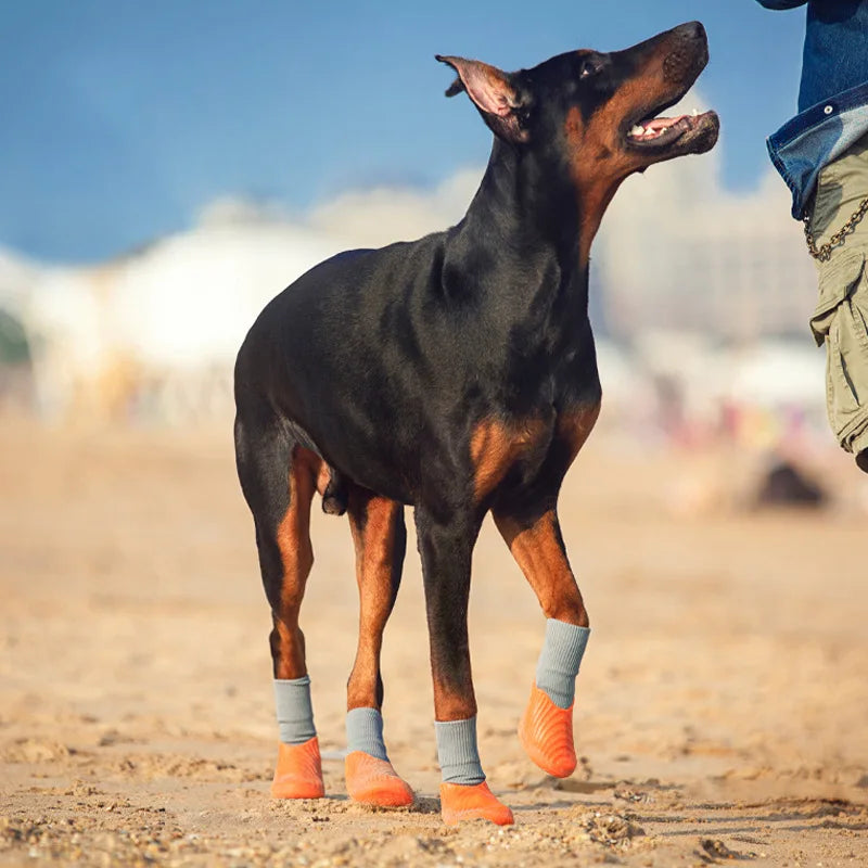 Chaussettes Antidérapantes pour Chien – Protection & Confort (100% Coton)