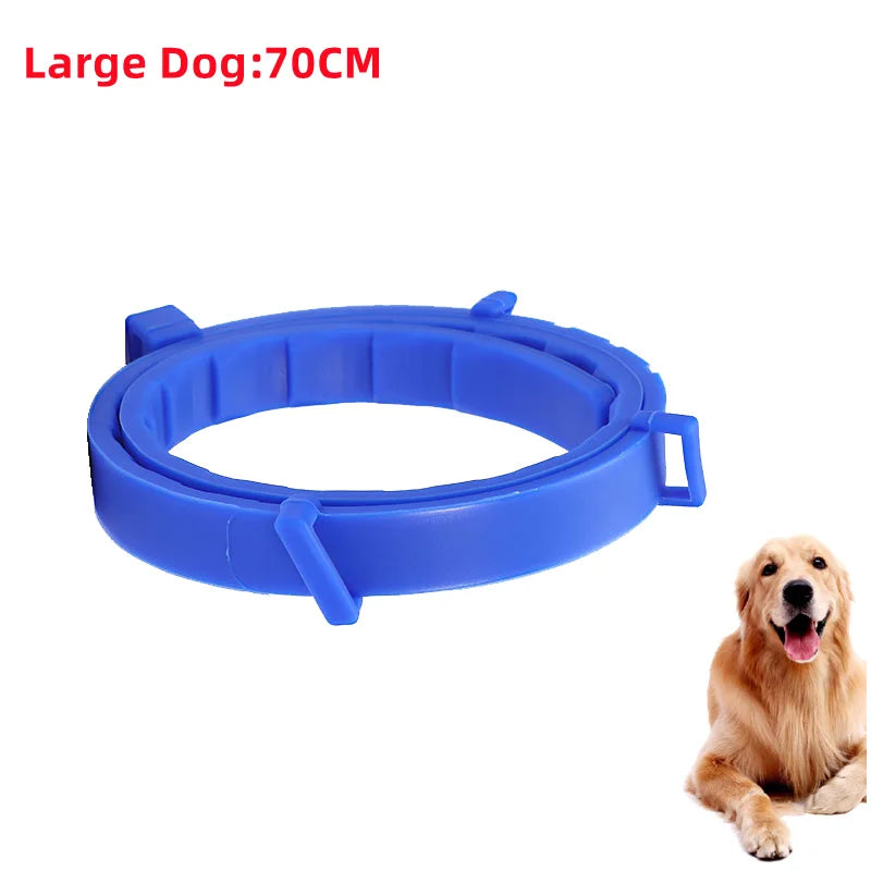Collier Anti-Puces & Tiques Chien et Chat – Protection Naturelle 8 Mois, Citronnelle