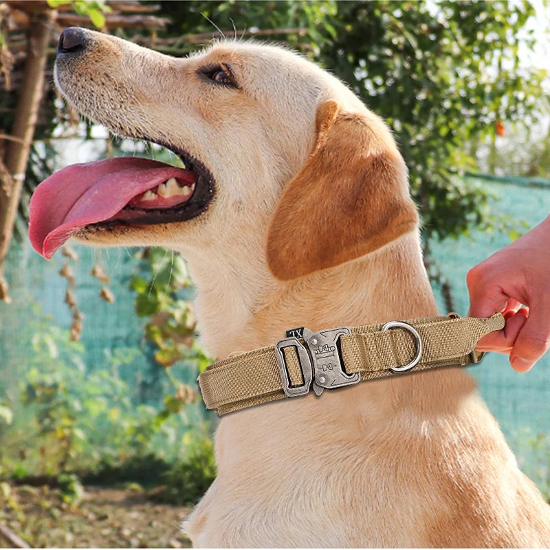 Ensemble Laisse & Collier Tactique pour Chien – Nylon Réfléchissant