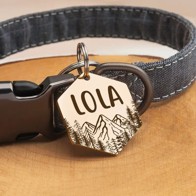 Médaille ID hexagonale personnalisée pour chien