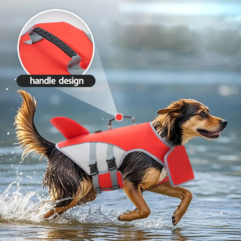 Gilet de Sauvetage Chien Aileron de Requin – Piscine, Plage & Kayak | S à XL