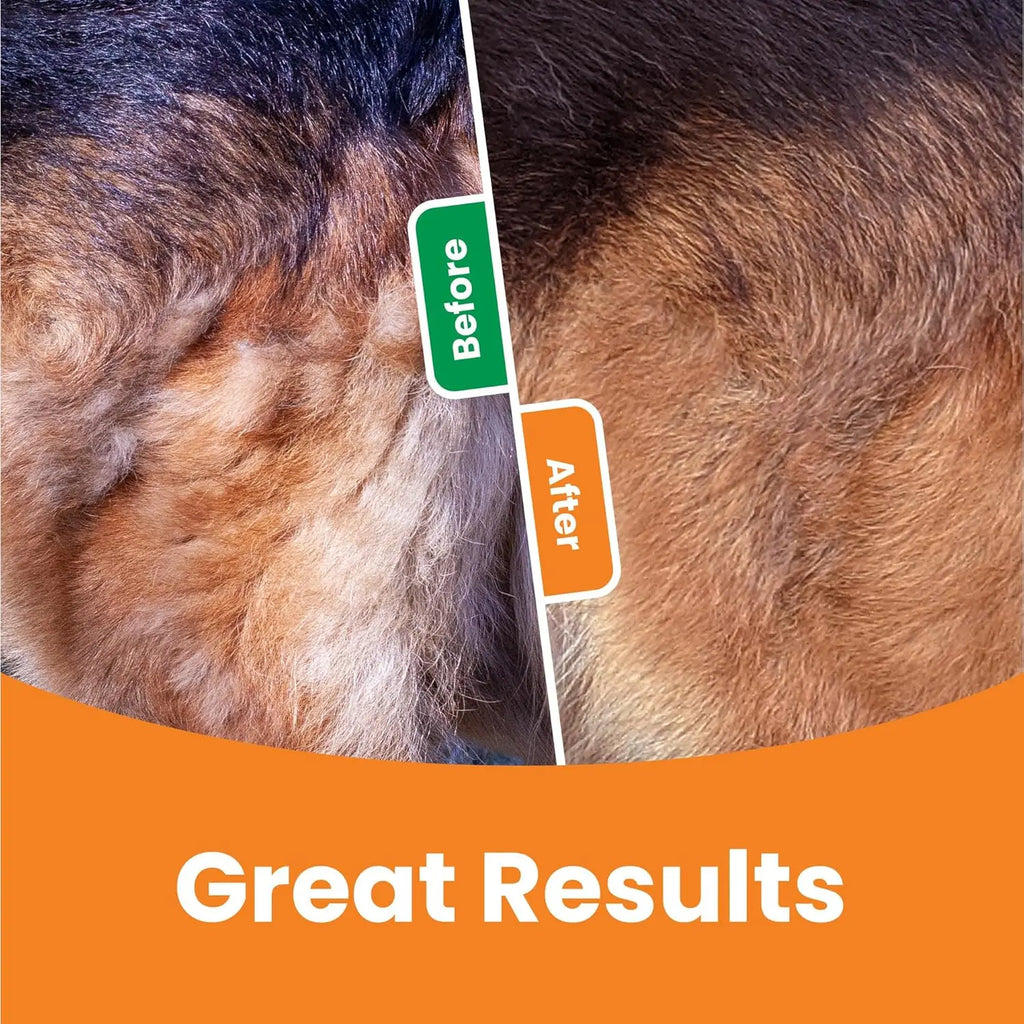Brosse démêlante 3-en-1 pour chien et chat – Épilateur et coupe-nœuds en acier inoxydable