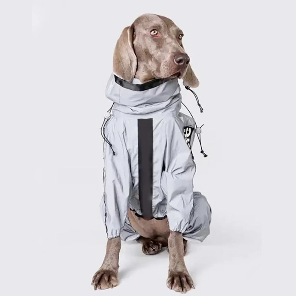 Combinaison Imperméable Réfléchissante pour Chien – Protection Solaire, M à 5XL