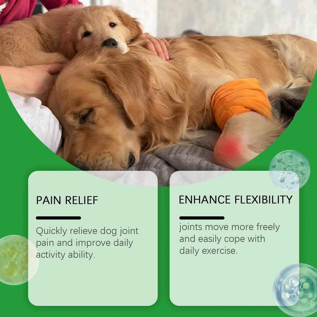 Comprimés Articulaires pour Chien – Mobilité, Flexibilité & Vitalité