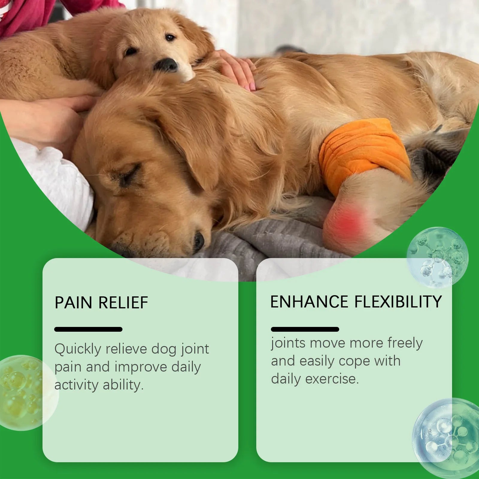 Comprimés Articulaires pour Chien – Mobilité, Flexibilité & Vitalité