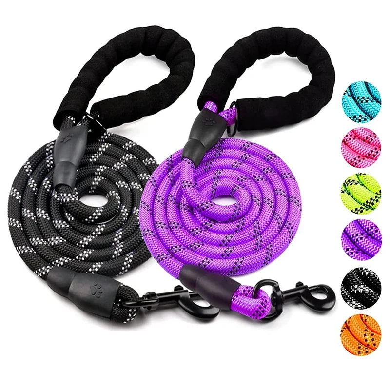 Laisse Réfléchissante pour Chien – Nylon Séparable, Toutes Tailles