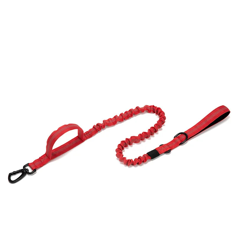 Ensemble Laisse & Collier Tactique pour Chien – Nylon Réfléchissant