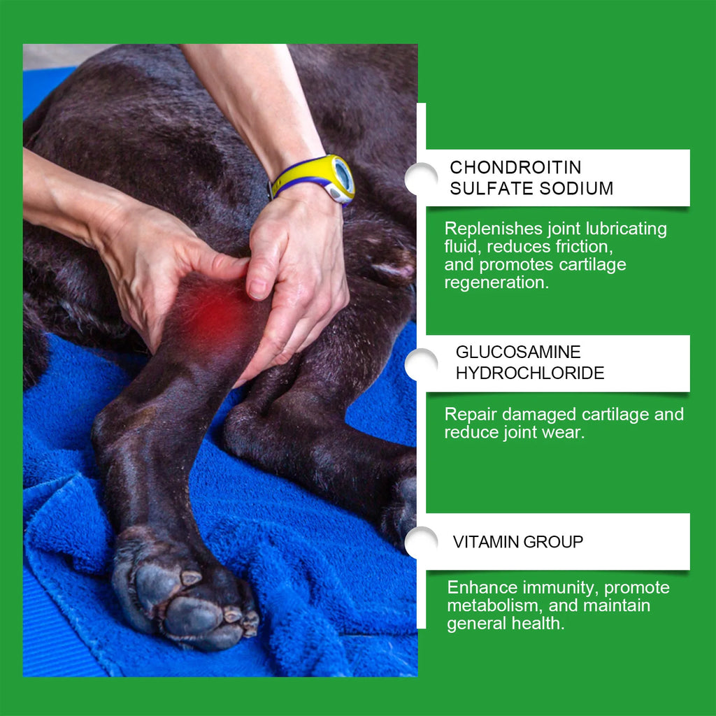 Comprimés Articulaires pour Chien – Mobilité, Flexibilité & Vitalité