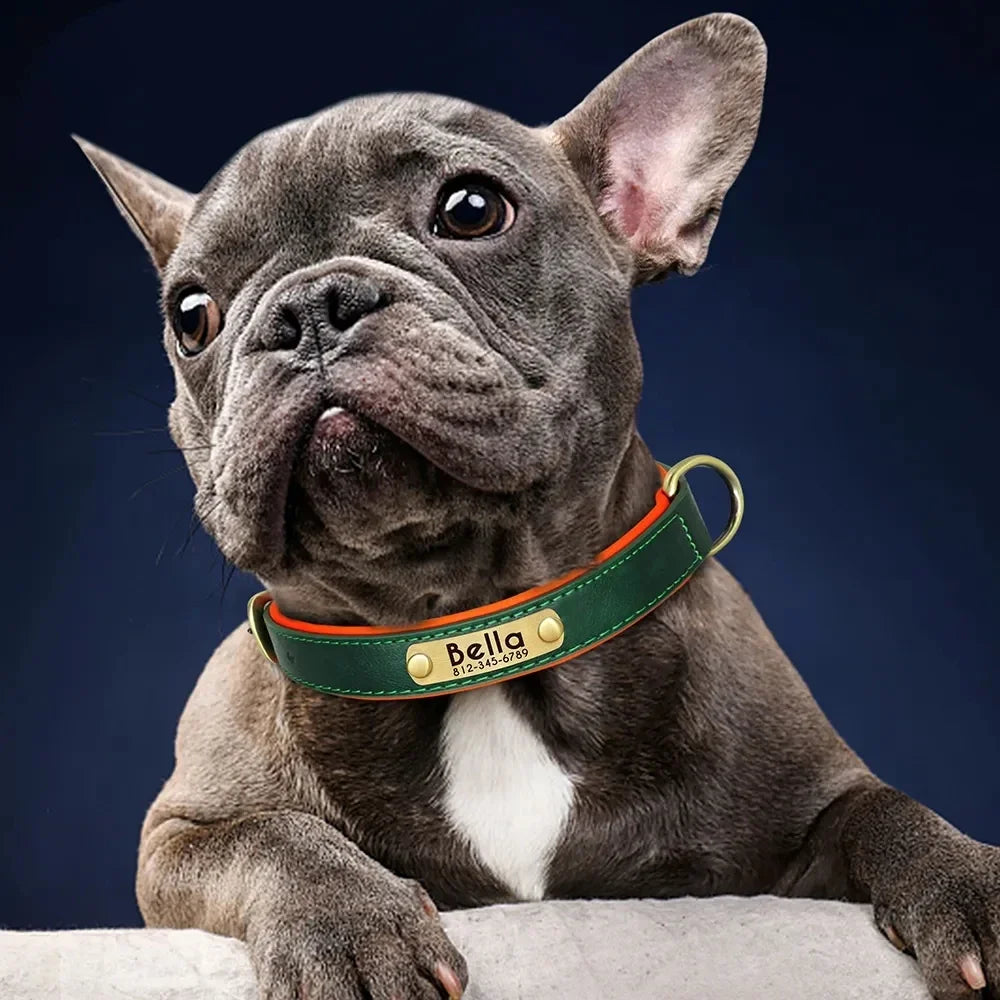 Collier cuir PU personnalisé pour chien