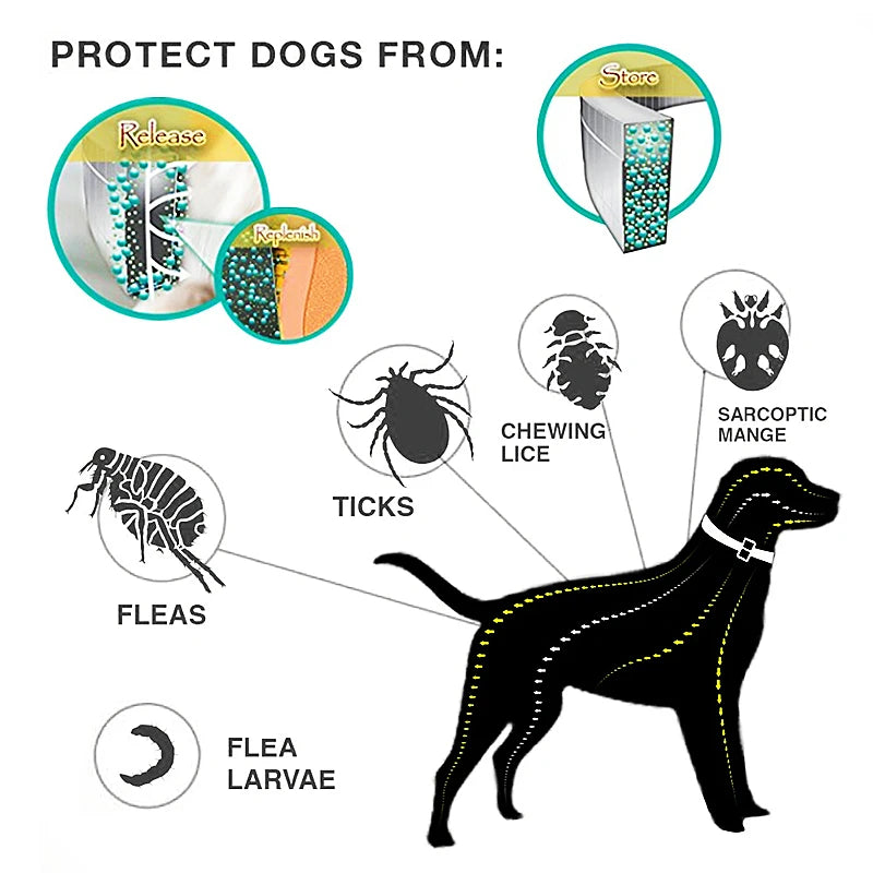 Collier Anti-Puces & Tiques Chien et Chat – Protection Naturelle 8 Mois, Citronnelle
