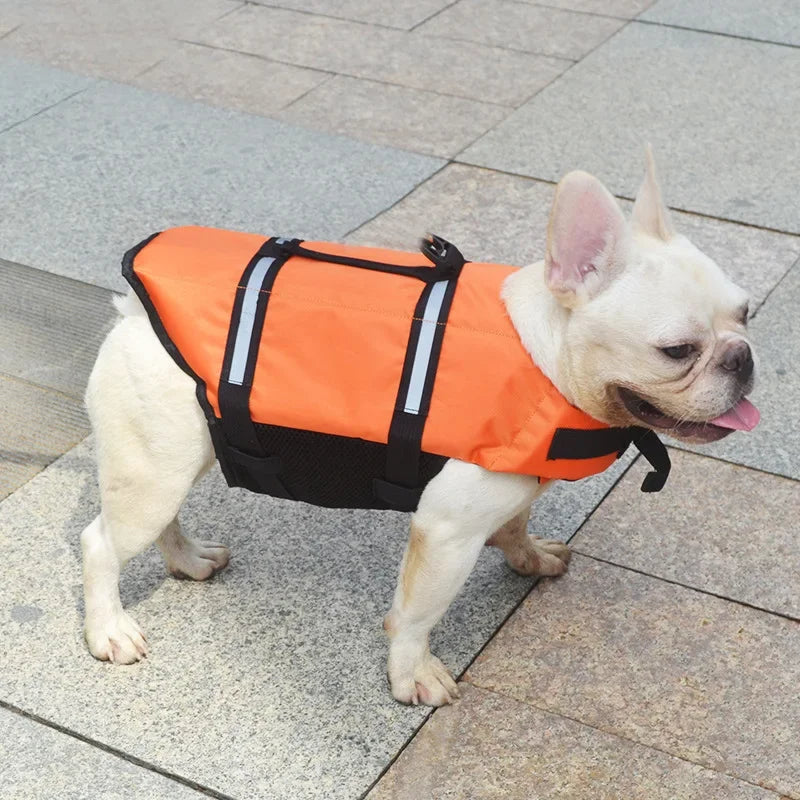 Gilet de Sauvetage pour Chien – Réfléchissant, Maillot de Bain Sécurité, XXS au XXL